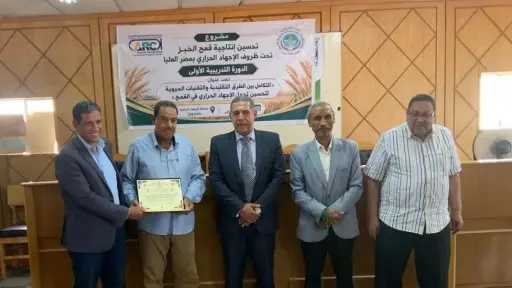 البحوث الزراعية وأكساد يطلقان مسارًا بحثيًا لتطوير قمح أكثر تحملًا للحرارة في مصر العليا