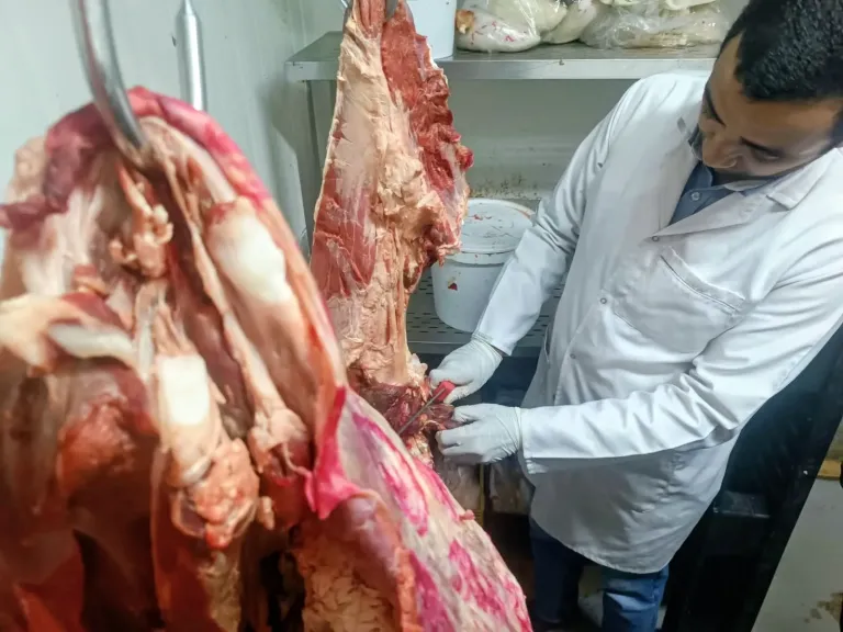 قبل تداولها بالأسواق.. ضبط 264 كيلو لحوم ودواجن فاسدة بشرق سوهاج