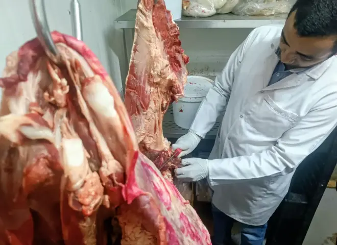 قبل تداولها بالأسواق.. ضبط 264 كيلو لحوم ودواجن فاسدة بشرق سوهاج