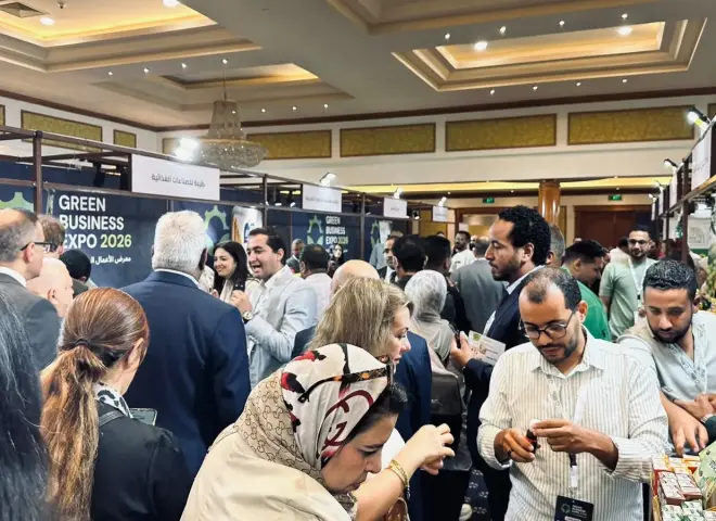 640 ألف طن مخلفات زراعية في سوهاج تبحث عن مستثمرين