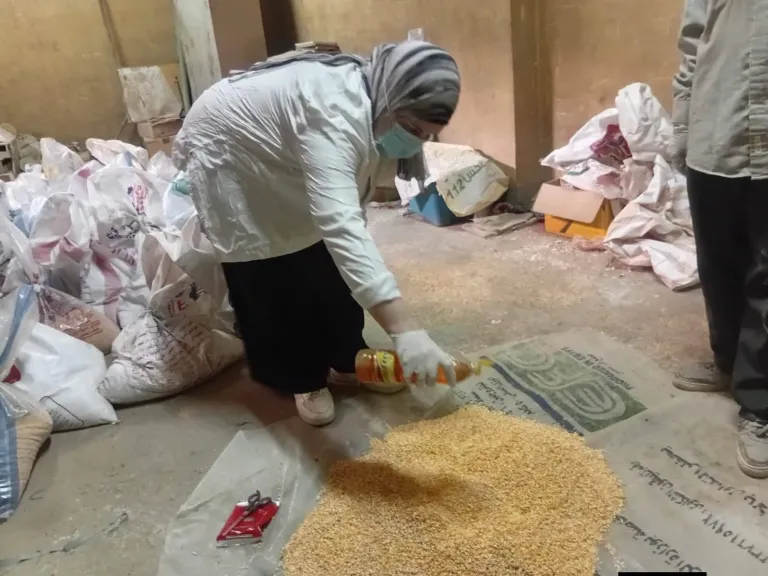 زراعة سوهاج تطلق الحملة القومية لمكافحة القوارض لحماية المحاصيل الاستراتيجية