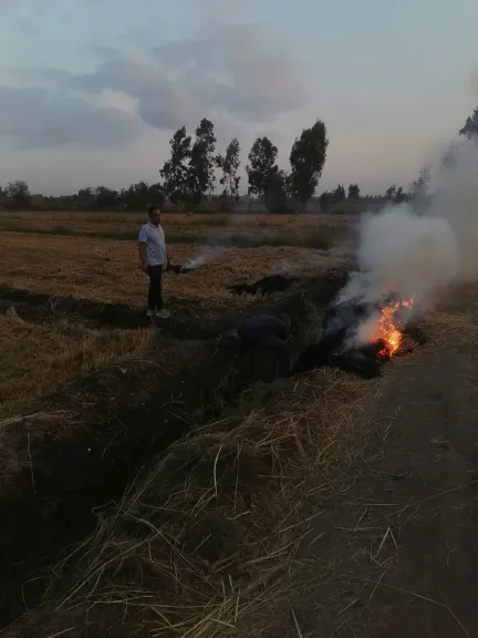 تحرك ليلي بالمنصورة لإخماد حريق بقش الأرز ومواجهة حرق المخلفات الزراعية