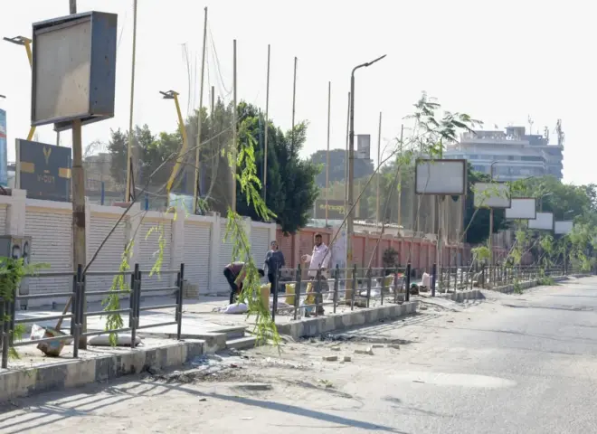 لزيادة المساحات الخضراء.. زراعة 220 شجرة بسرايات المعادي