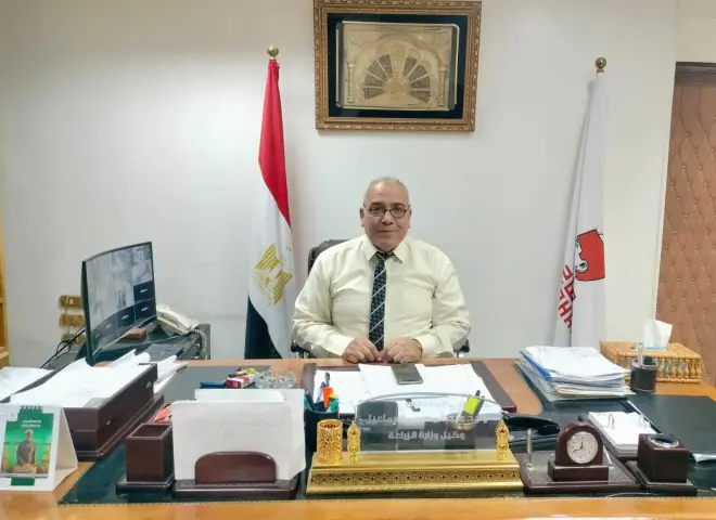 وكيل زراعة سوهاج: استعدادات مكثفة لموسم القمح.. وتوفير التقاوي وتنفيذ 65 حقلًا إرشاديًا