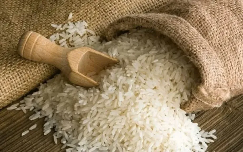 رئيس بحوث الأرز يكشف أسباب ارتفاع الشعير ويحسم الجدل حول توافر المحصول