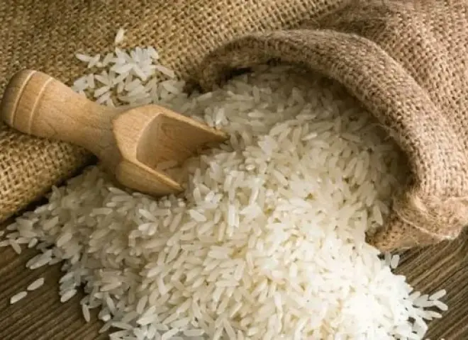 رئيس بحوث الأرز يكشف أسباب ارتفاع الشعير ويحسم الجدل حول توافر المحصول