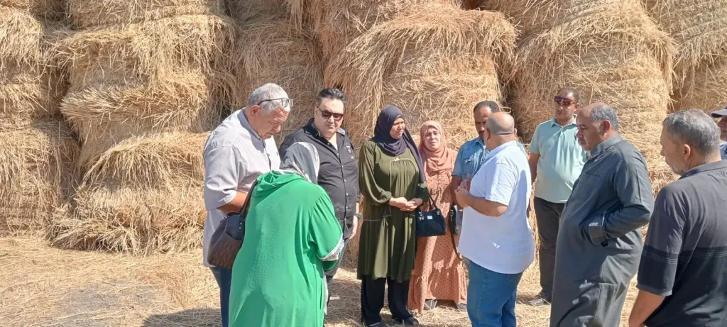 ”زراعة شربين”تضرب بيد من حديد على مخالفات تجميع قش الأرز.. قبول 5 مواقع ورفض 3 لعدم استيفاء الاشتراطات