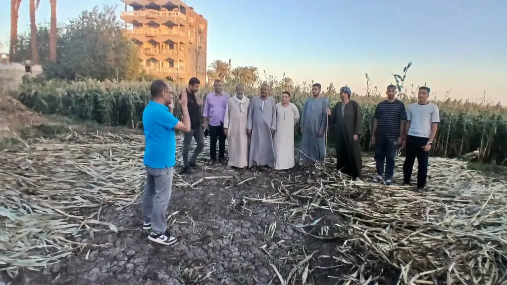 محافظ أسيوط يعلن خطة مواجهة حرق حطب الذرة والاستفادة من المخلفات الزراعية