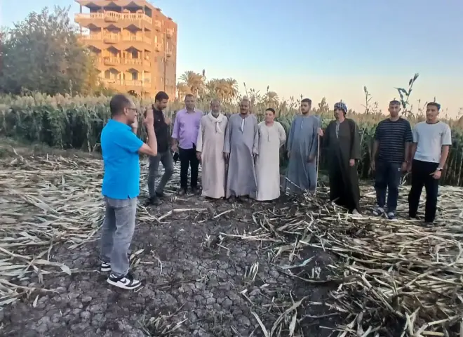 محافظ أسيوط يعلن خطة مواجهة حرق حطب الذرة والاستفادة من المخلفات الزراعية