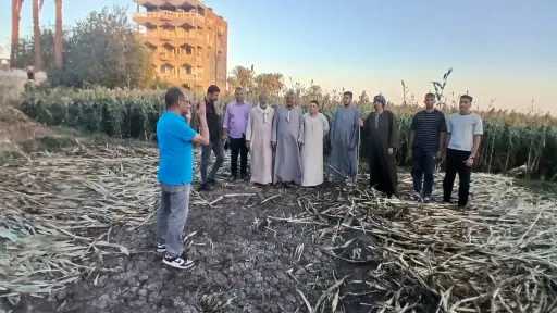 محافظ أسيوط يعلن خطة مواجهة حرق حطب الذرة والاستفادة من المخلفات الزراعية