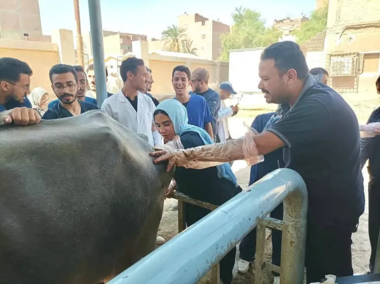 محافظ أسيوط يعلن نتائج قافلة بيطرية مجانية.. فحص وعلاج 1643 حالة