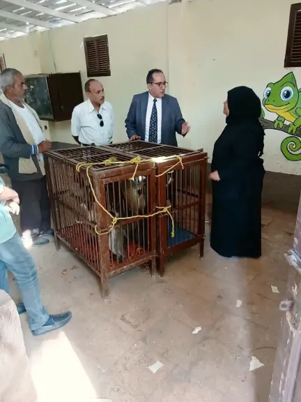 ضبط 8 نسانيس بالشرقية وإيداعها بحديقة الحيوان