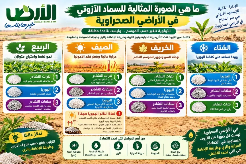 كيف تحدد الصورة المثالية للأسمدة الأزوتية حسب الفصول
