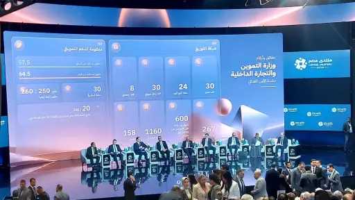 أستاذ زراعة بجامعة الفيوم: زيادة المساحة المنزرعة إلى 10.5 مليون فدان وإنتاج القمح يسجل 11 مليون طن