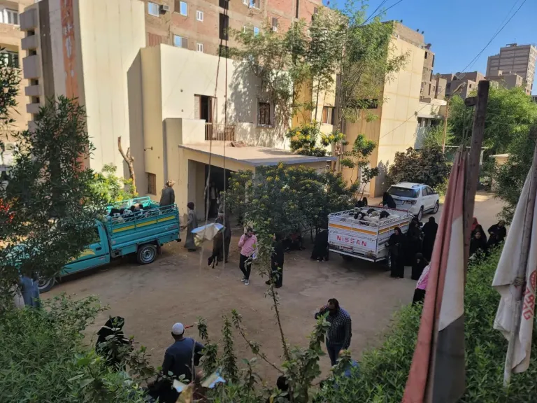 الطب البيطري بسوهاج يسلم  770 رأسًا من الأغنام العشار لدعم صغار المربين