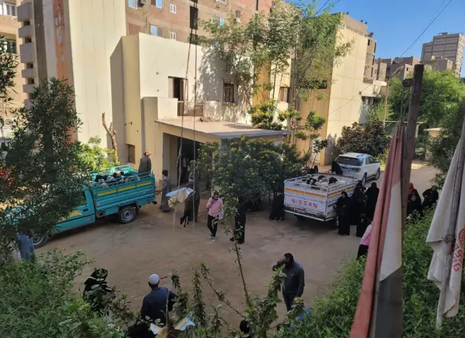 الطب البيطري بسوهاج يسلم  770 رأسًا من الأغنام العشار لدعم صغار المربين