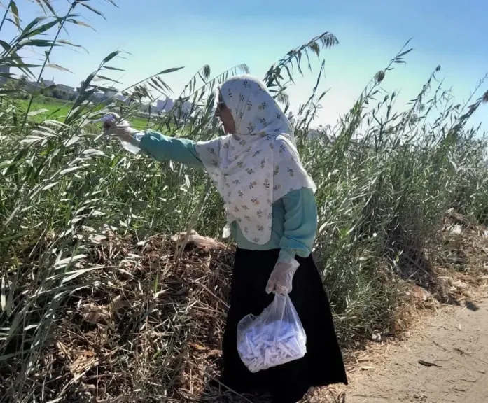 زراعة سوهاج تواصل حملة مكافحة القوارض بأخميم لحماية المحاصيل الزراعية