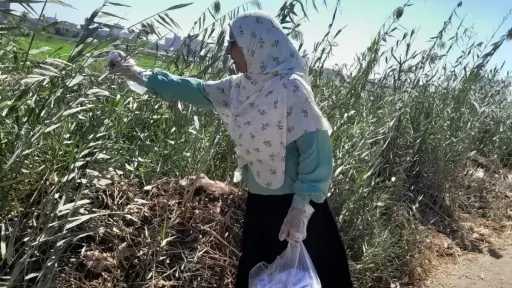 زراعة سوهاج تواصل حملة مكافحة القوارض بأخميم لحماية المحاصيل الزراعية
