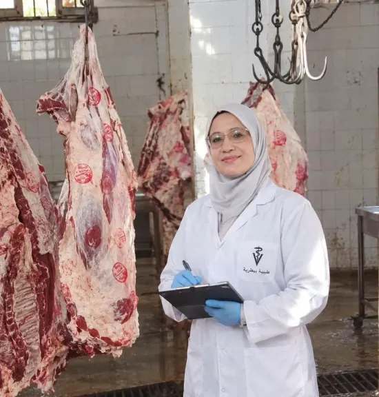 الطب البيطري وسلامة الغذاء.. كيف تصل المنتجات الحيوانية آمنة إلى المستهلك؟