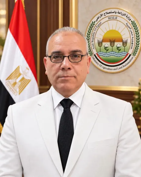 وكيل زراعة سوهاج يكشف خريطة دعم مزارعي القمح بعد رفع سعر التوريد إلى 2650 جنيهًا