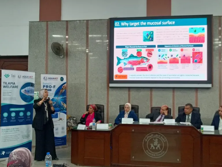 خبيرة تكشف مخاطر مقاومة المضادات الحيوية على الإنسان والإنتاج السمكي