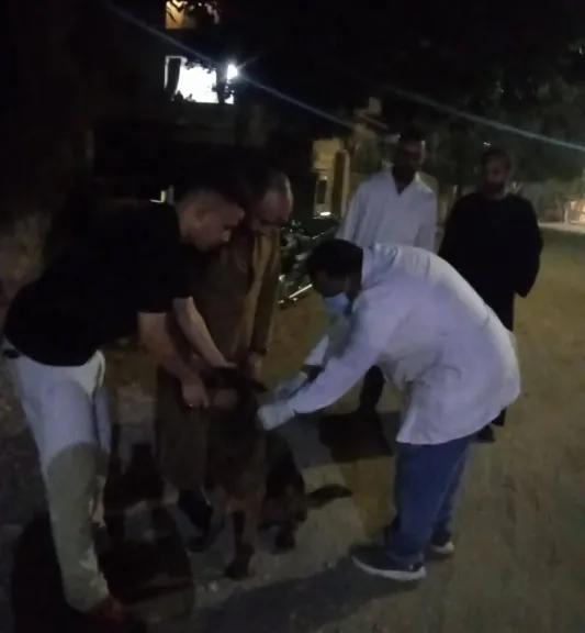 الطب البيطري بسوهاج يحصن 27 كلبًا ويتحفظ على كلب عقور في ساقلتة